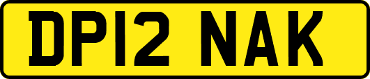 DP12NAK