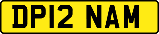 DP12NAM