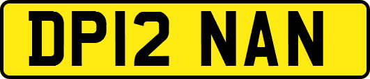 DP12NAN