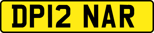 DP12NAR