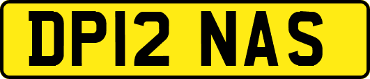 DP12NAS