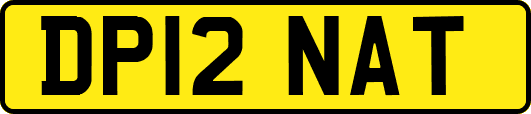 DP12NAT