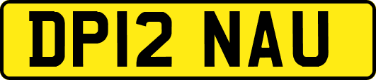 DP12NAU