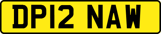 DP12NAW