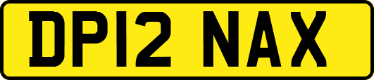 DP12NAX