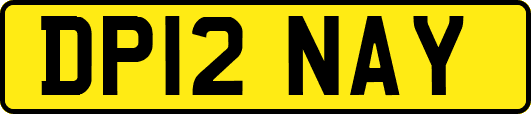 DP12NAY