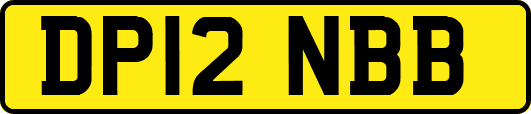 DP12NBB