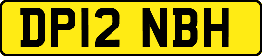 DP12NBH