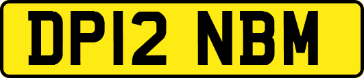DP12NBM