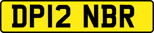 DP12NBR