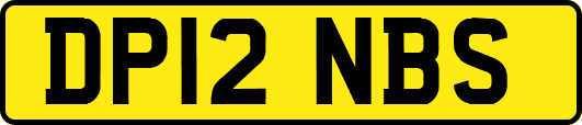 DP12NBS
