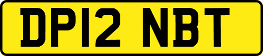 DP12NBT