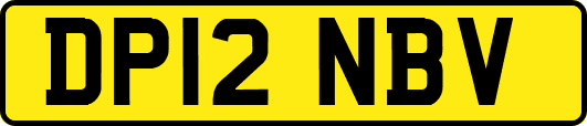DP12NBV