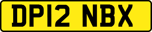 DP12NBX