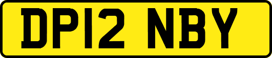 DP12NBY