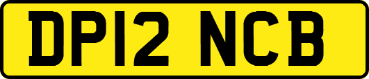 DP12NCB