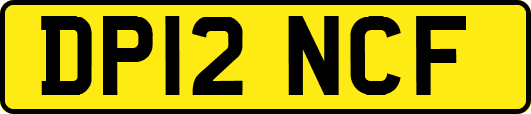 DP12NCF