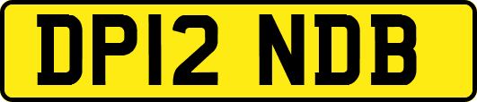 DP12NDB