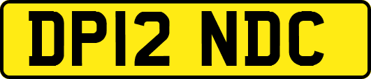 DP12NDC