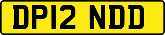 DP12NDD