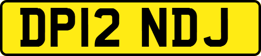DP12NDJ