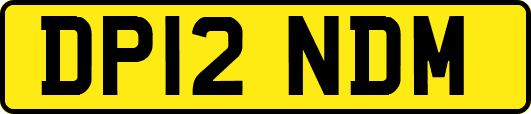 DP12NDM