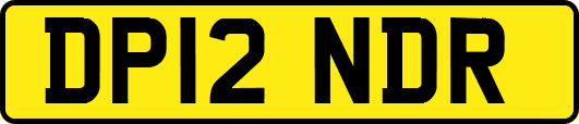 DP12NDR