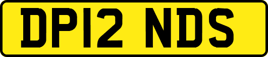 DP12NDS