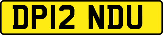 DP12NDU