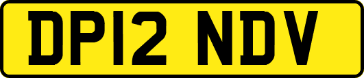 DP12NDV