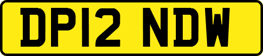 DP12NDW