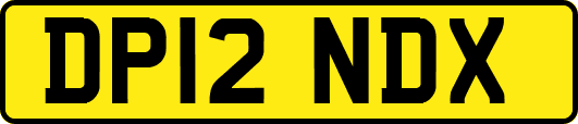 DP12NDX