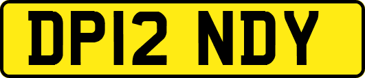 DP12NDY