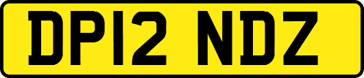 DP12NDZ