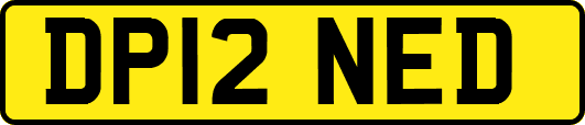 DP12NED