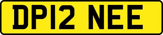 DP12NEE