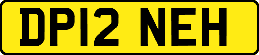 DP12NEH