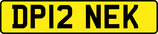 DP12NEK