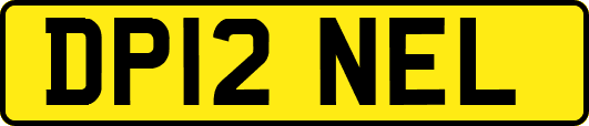 DP12NEL