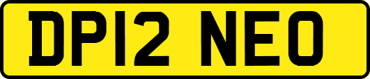 DP12NEO