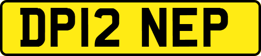 DP12NEP