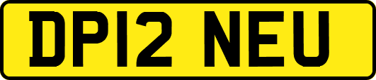 DP12NEU