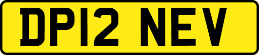 DP12NEV