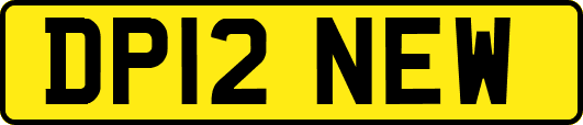 DP12NEW