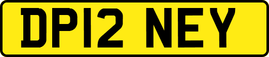 DP12NEY