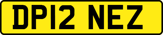 DP12NEZ