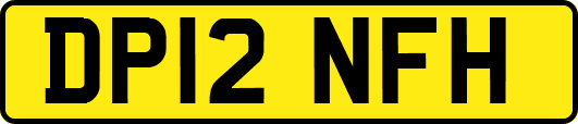 DP12NFH