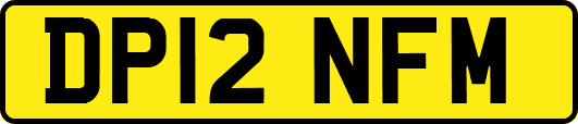 DP12NFM