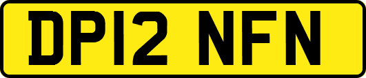 DP12NFN