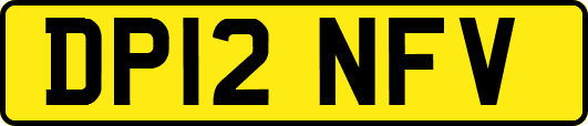 DP12NFV